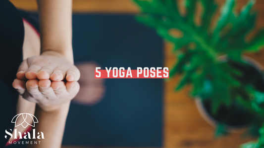5 Great Yoga Poses at Home